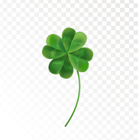 Four Leaf Clover on a transparent background. Vector illustration for the holiday of St. Patrick. Green clover in a realistic style.のイラスト素材