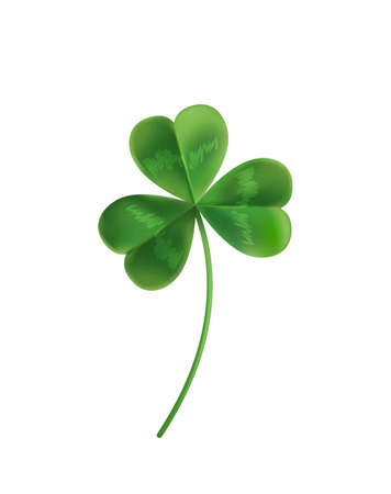 Three sheets realistic lucky clover leaves on a white background. Vector illustration. Green clover for St. Patrick's Day.のイラスト素材