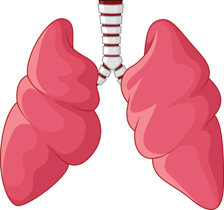 Human Lungs respiratory cartoonのイラスト素材