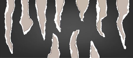 Torn paper sets tracing from real paper Vector Illustrationのイラスト素材