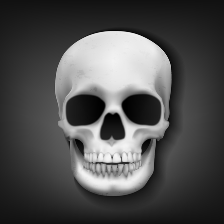 Realistic skull head on dark background, Vector Illustrationのイラスト素材