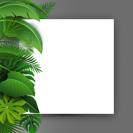 Sign with text space of Tropical Leaves. Suitable for nature concept, vacation, and summer holiday. Vector Illustrationのイラスト素材
