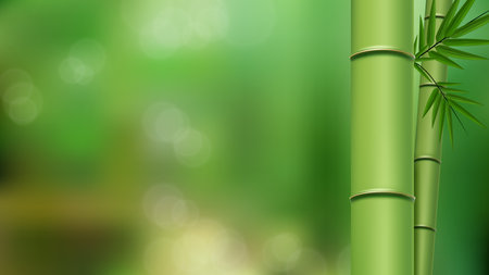 Green Bamboo Stems and Leaves Close Up with Copy Space, Isolated on Green Blurred Background, Vector Illustrationのイラスト素材