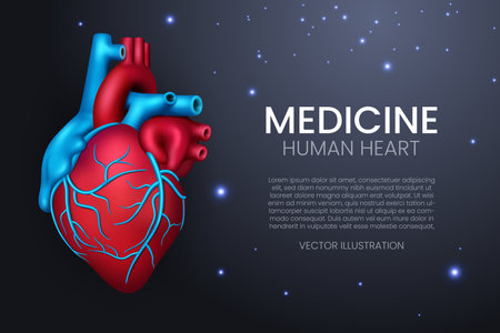 Shiny Human Heart, Landing Page Background, Realistic 3D, Vector Illustrationのイラスト素材