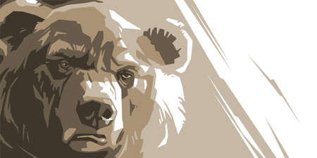 Angry bear on a white background abstractのイラスト素材