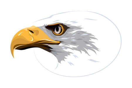 Design element. Eagle on white backgroundのイラスト素材