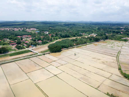 Aerial Photo - Bird's eye view of the paddy field after harvest at morning.の写真素材