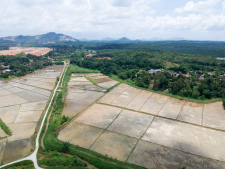 Aerial Photo - Bird's eye view of the paddy field after harvest at morning.の写真素材