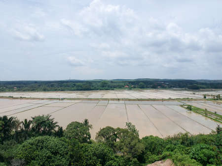 Aerial Photo - Bird's eye view of the paddy field after harvest at morning.の写真素材