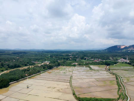 Aerial Photo - Bird's eye view of the paddy field after harvest at morning.の写真素材