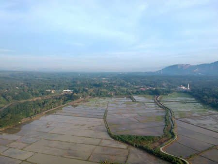 Aerial Photo - Bird's eye view of the paddy field after harvest at morning.の写真素材