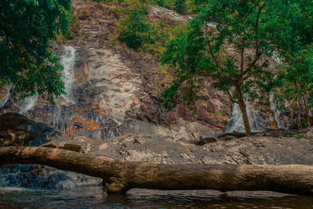 Forest and waterfall at Ton Nga Chang Waterfall, Songkhla, Thailand.の写真素材
