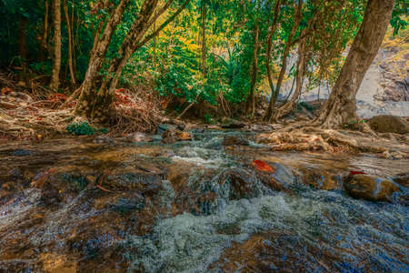 Forest and waterfall at Ton Nga Chang Waterfall, Songkhla, Thailand.の写真素材