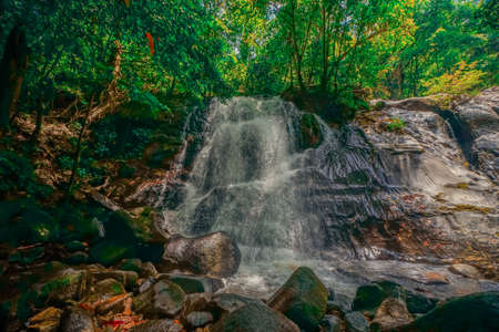 Forest and waterfall at Ton Nga Chang Waterfall, Songkhla, Thailand.