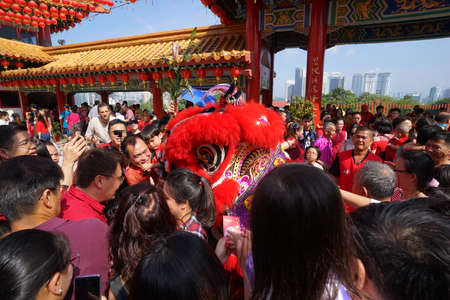 Kuala Lumpur, Malaysia - February 5, 2019: Beautiful Lion Dance during Chinese New Year celebration in Thean Hou Temple.のeditorial素材