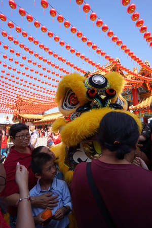 Kuala Lumpur, Malaysia - February 9, 2019: Beautiful Lion Dance during Chinese New Year celebration in Thean Hou Temple.のeditorial素材
