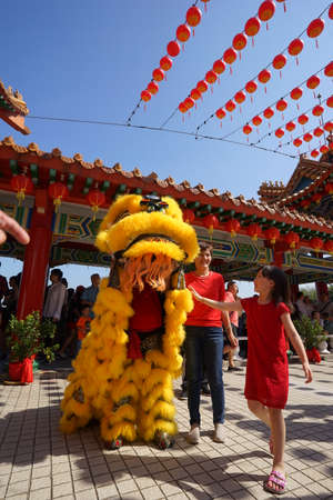 Kuala Lumpur, Malaysia - February 9, 2019: Beautiful Lion Dance during Chinese New Year celebration in Thean Hou Temple.のeditorial素材