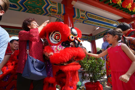 Kuala Lumpur, Malaysia - February 5, 2019: Beautiful Lion Dance during Chinese New Year celebration in Thean Hou Temple.のeditorial素材