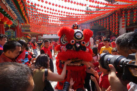 Kuala Lumpur, Malaysia - February 5, 2019: Beautiful Lion Dance during Chinese New Year celebration in Thean Hou Temple.のeditorial素材