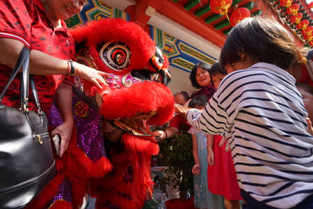 Kuala Lumpur, Malaysia - February 5, 2019: Beautiful Lion Dance during Chinese New Year celebration in Thean Hou Temple.のeditorial素材