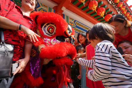 Kuala Lumpur, Malaysia - February 5, 2019: Beautiful Lion Dance during Chinese New Year celebration in Thean Hou Temple.のeditorial素材