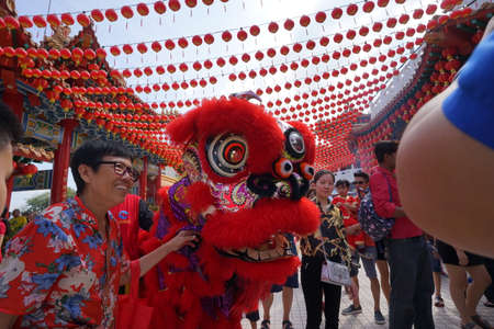 Kuala Lumpur, Malaysia - February 5, 2019: Beautiful Lion Dance during Chinese New Year celebration in Thean Hou Temple.のeditorial素材