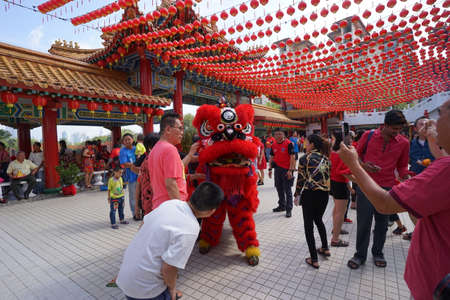 Kuala Lumpur, Malaysia - February 5, 2019: Beautiful Lion Dance during Chinese New Year celebration in Thean Hou Temple.のeditorial素材