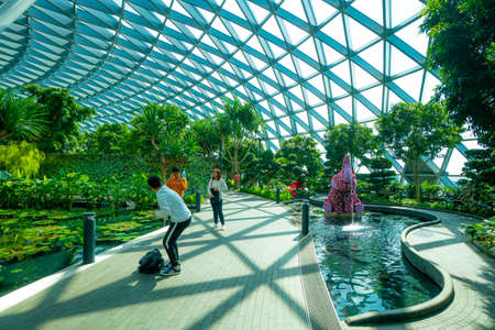 Changi, Singapore - February, 2020: The beautiful Petal Garden at Jewel Changi Airport.のeditorial素材