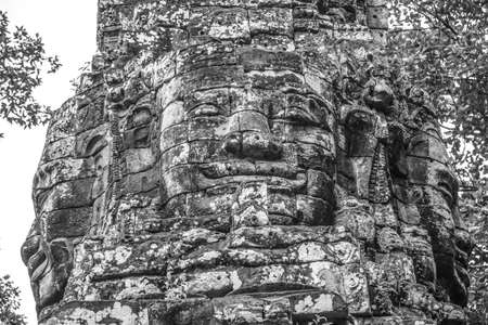 Angkor Wat Ruinsの写真素材