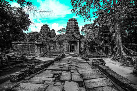 Angkor Wat Ruinsの写真素材