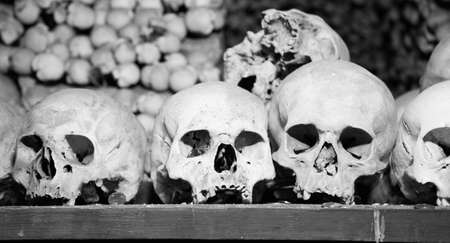 Human skulls at Sedlec Ossuaryの写真素材