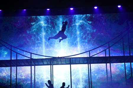 Chinese Kung Fu Performanceのeditorial素材