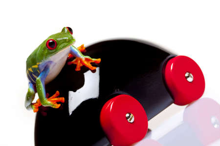 Frog Driverの写真素材