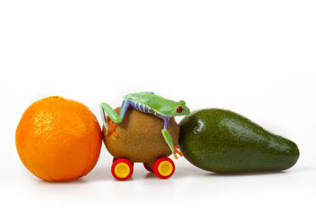 Eco Transport Ftogの写真素材