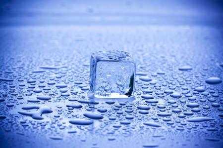 Ice Cube!の写真素材