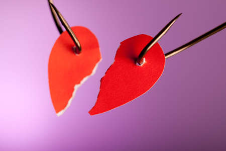 heart in two piecesの写真素材