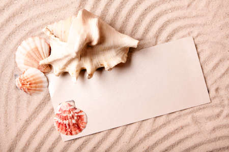 Treasures from sandの写真素材