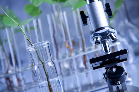laboratory 
