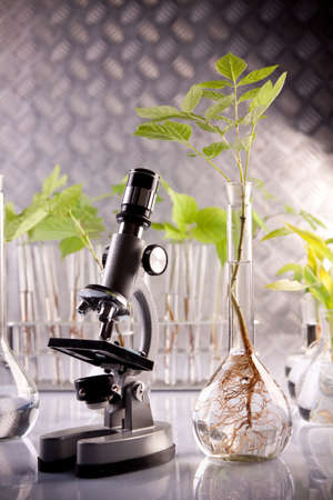 Seedling laboratoryの写真素材