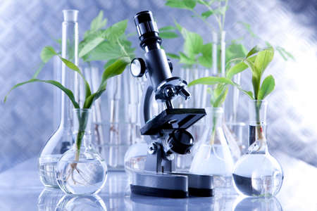 Seedling laboratoryの写真素材
