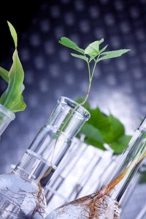 Seedling laboratoryの写真素材