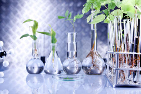 Seedling laboratoryの写真素材