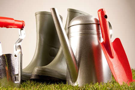 Gardening concept