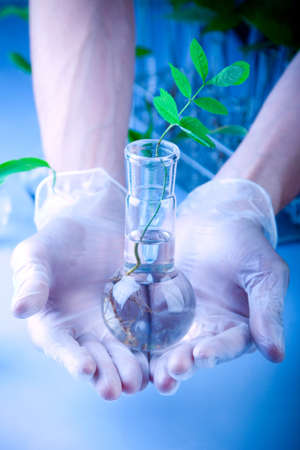 Green Seedling laboratoryの写真素材