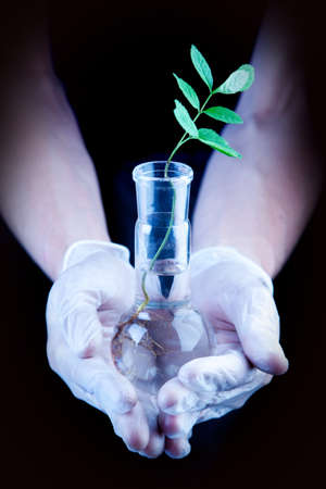 Green Seedling laboratoryの写真素材