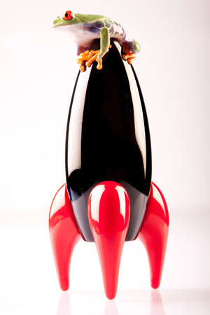 Rocket toy with frogの写真素材