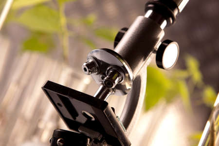 Green Seedling laboratoryの写真素材