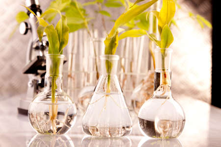 Green Seedling laboratoryの写真素材