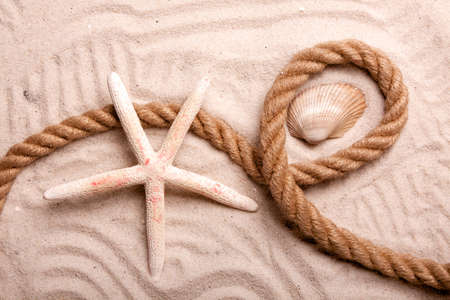 Sand, shells and more! Best Holidaysの写真素材