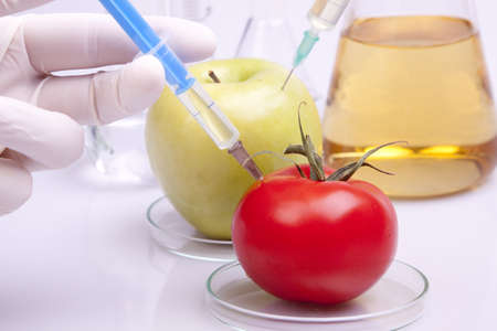 Geneticly Modified Fruitsの写真素材